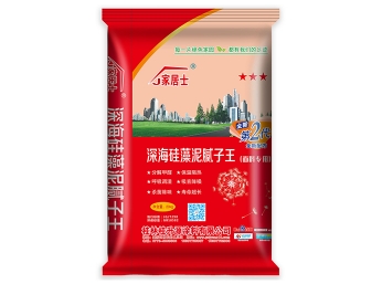 广西腻子粉