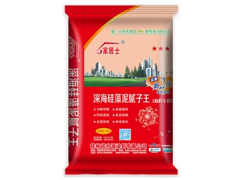 洛阳腻子粉